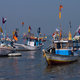 Regulating the mesh size of fishing nets is another solution often suggested to control juvenile fish.